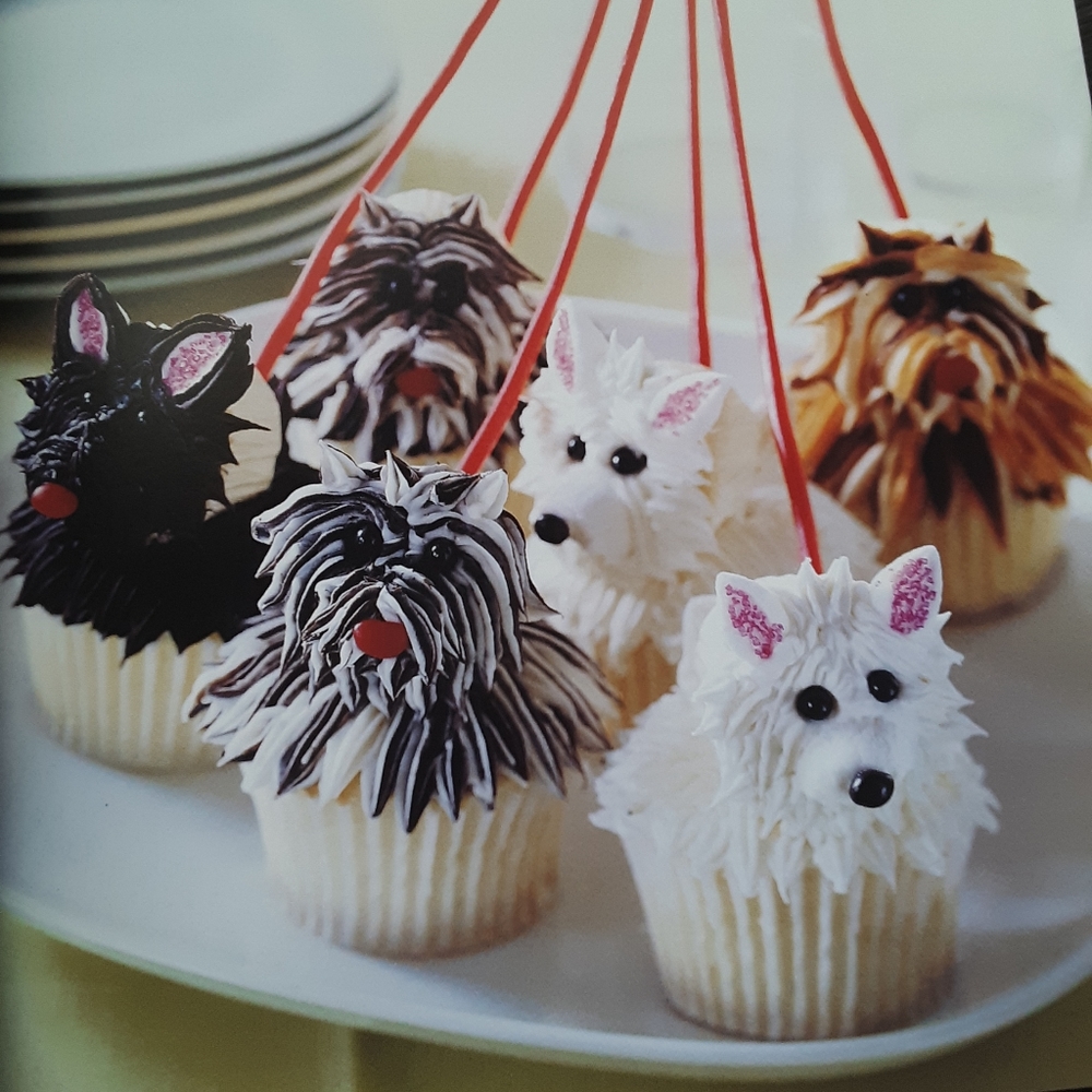 Book. Create Fun Cupcakes - Picture 11 of 11